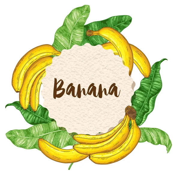 Banner mit Bananen und Blättern — Stockvektor