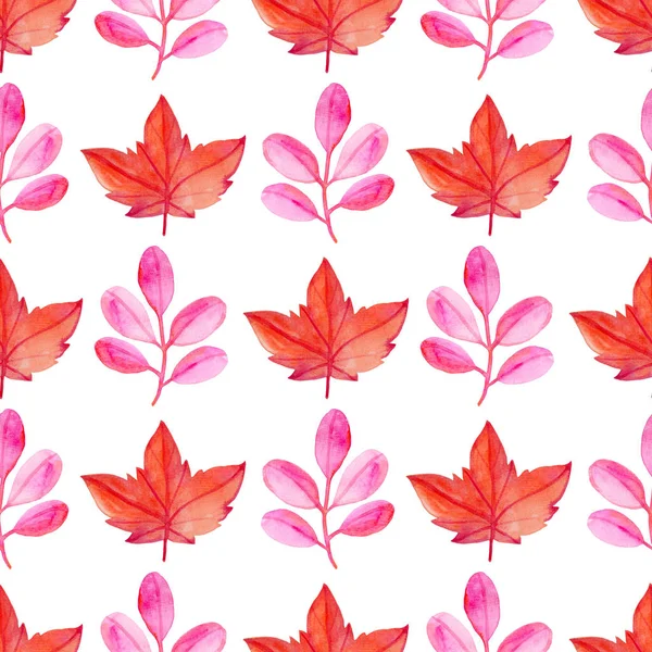 Pattern with red maple leaves. — Stock Photo, Image