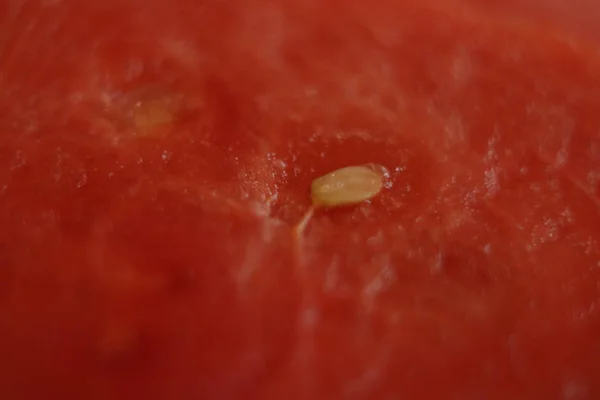 Eine Scheibe Wassermelone — Stockfoto