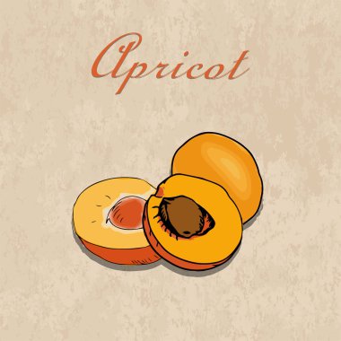 Vektör el bir tekne üzerinde çizilmiş kayısı Kağıt arka plan