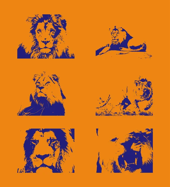Chiffres Lions Bleus Sur Fond Orange Spe — Image vectorielle