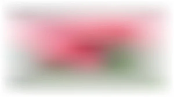 Vector witte achtergrond met roze en groene vlekken vervagen — Stockvector