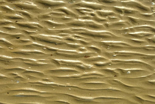 Yaz güneşinde güzel plaj kum dokusu. Tasarımınız için arka plan