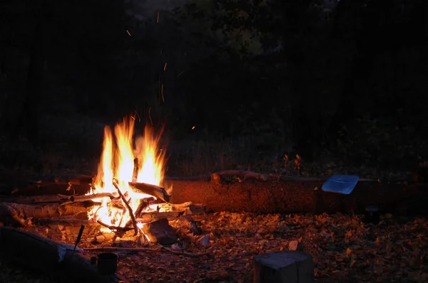 Gece kamp ateşi. Yaz bight yangın alevler