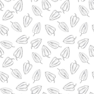 Çan biber vektör dikişsiz desen. Beyaz arka planda gri kontur biber