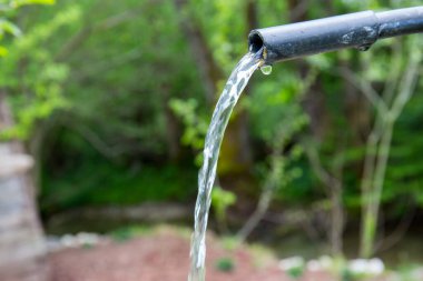 Saf kaynak suyu. Kayadan gelen şelale, soğuk ve berrak içme suyu.