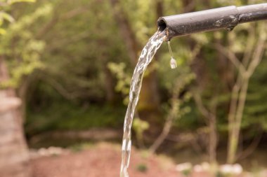 Saf kaynak suyu. Kayadan gelen şelale, soğuk ve berrak içme suyu.