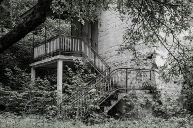 Terk edilmiş ev, savaş tahribatı. Harabe çalılarla kaplanmış.