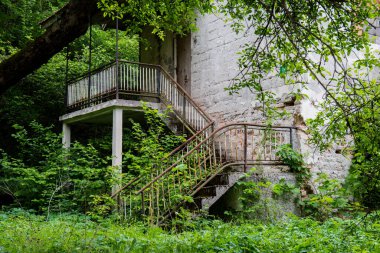 Terk edilmiş ev, savaş tahribatı. Harabe çalılarla kaplanmış.