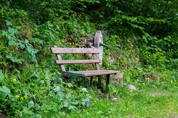 A bench next to pure spring forest water. A spring from a rock. A place to rest