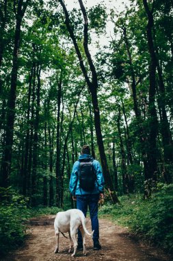 Ormanda yürüyüş köpekli adam arkadan görünüş