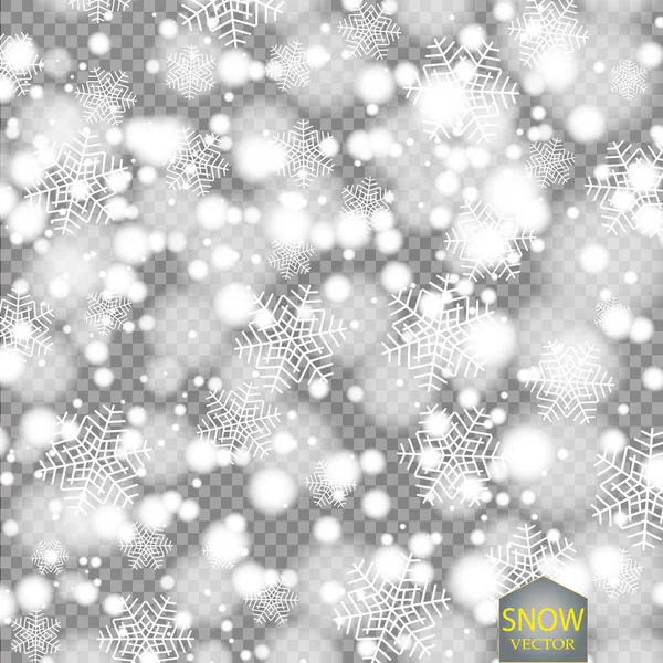 Efecto Caída Vectorial Nieve Aislado Sobre Fondo Transparente Con Bokeh — Vector de stock