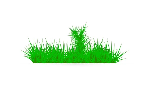 Hierba verde sobre un fondo blanco. glade en el bosque de hierba — Vector de stock