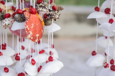 fıstık kabukları, balkonda asılı aksesuarları