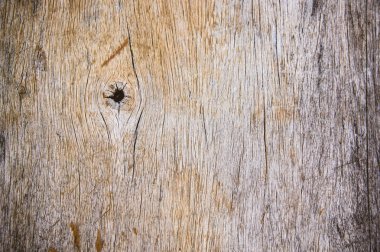 Doku dirtyl eski ahşap arka plan