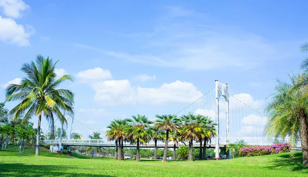 Ubicación Parque Puente Palmeras Aire Libre Parque — Foto de Stock