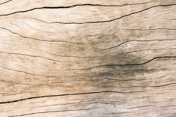 古い木材 汚れた表面の木材の背景 堅材をテクスチャします — ストック写真