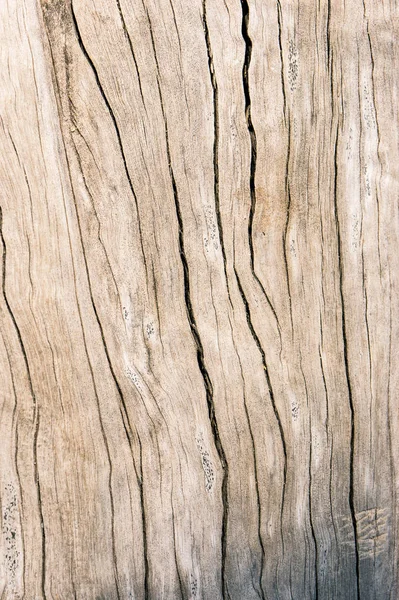 Textura Madera Vieja Fondo Madera Superficie Sucia Madera Dura — Foto de Stock