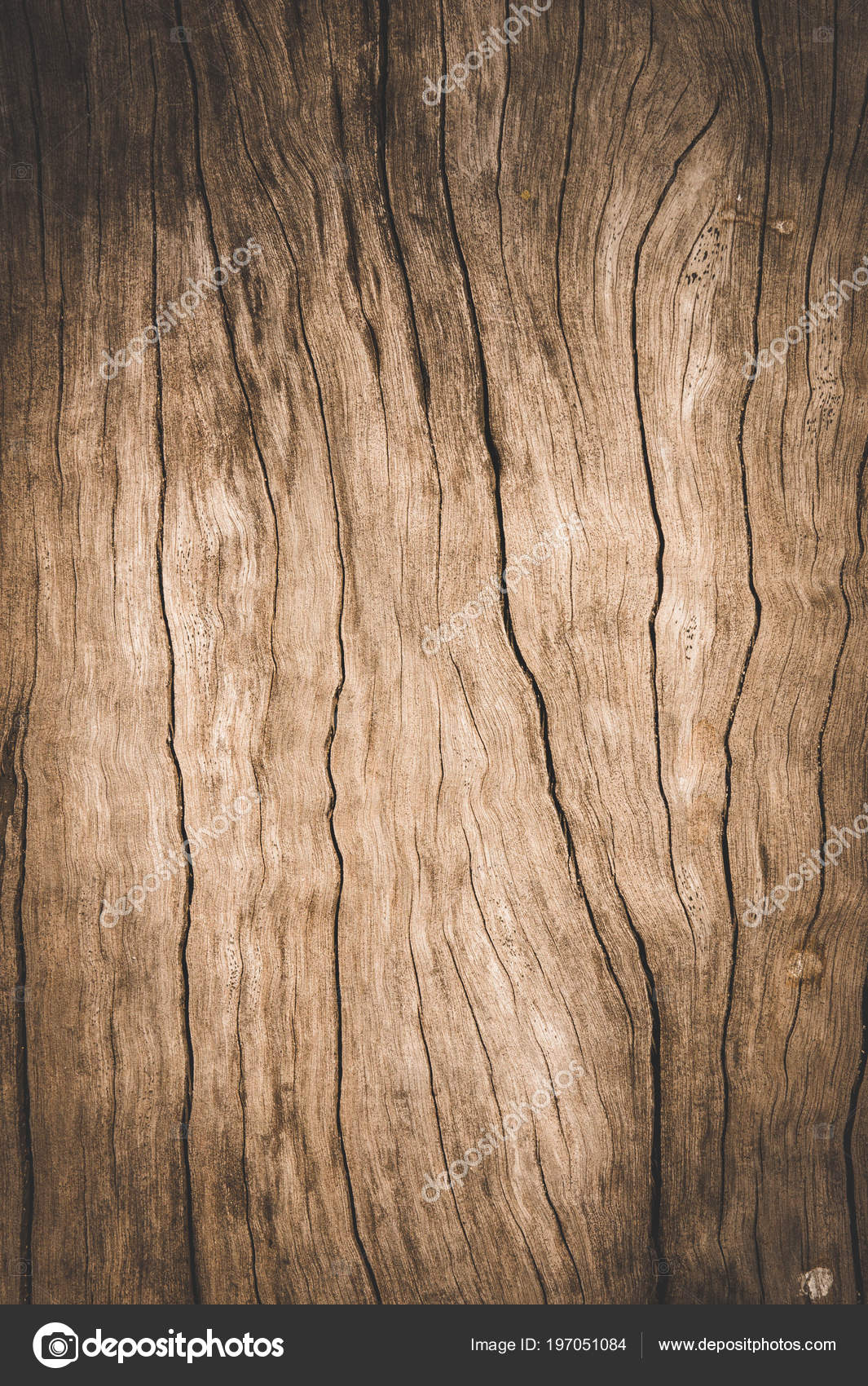 Staré Dřevo Textury Špinavý Povrch Dřevěné Pozadí Hnědé Dřevo Tmavý ...