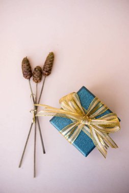 Yeni yıl ve Noel arka plan ve kopya alanı, vintage teşekkürler özel stil için dekor hediye kutusu