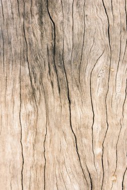 Doku eski ahşap, kirli yüzey ahşap arka plan, Parke