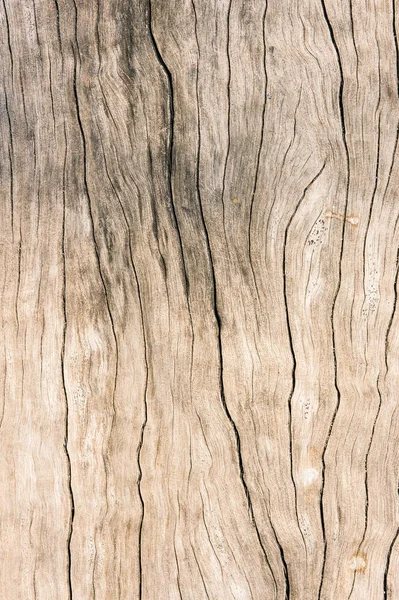 Texture Vieux Bois Surface Sale Fond Bois Feuillus — Photo