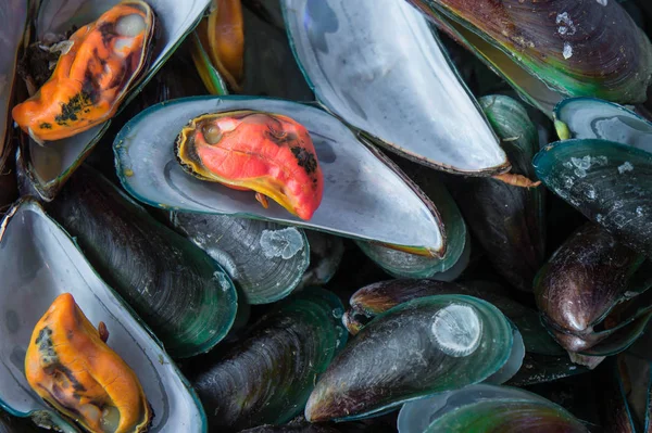 Парові Мідії Смачні Морепродукти — стокове фото