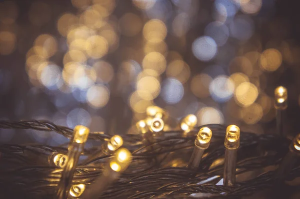The nigt light bokeh festival with small LED light decor on part — Stock Photo, Image
