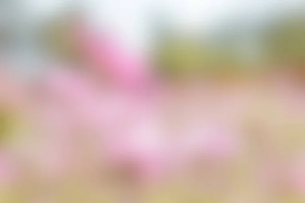 Abstract Nature Color Mix Blur Backgrund Color Pink White Green — Stock Photo, Image