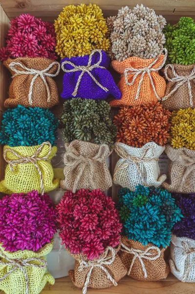 Ornamental dried flowers, Dried flowers adorned with a bow tie b — Stock Image Ornamental dried flowers, Dried flowers adorned with a bow tie b Royalty Free Stock Photos