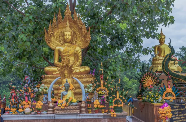 Buddha-Bilder, die die Menschen verehren — Stockfoto