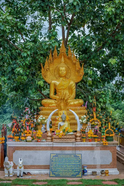 Buddha bilder som folk dyrkar — Stockfoto