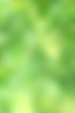 doğa yeşil bulanıklık tarzı arka plan