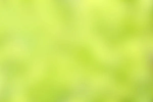 Verschwommener Grüner Und Gelber Natürlicher Hintergrund — Stockfoto