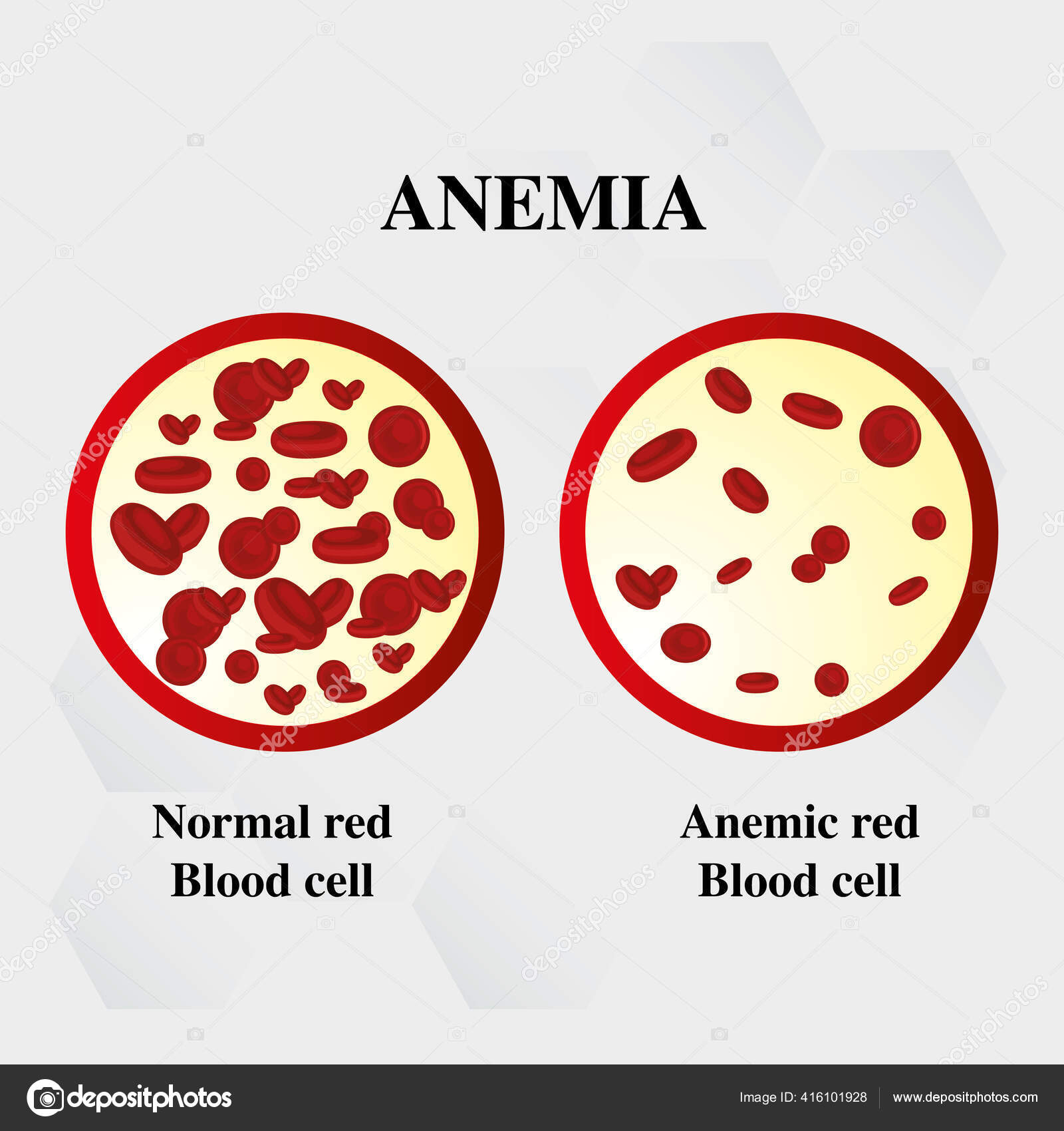 HemoSphere avansert monitor, image size:1600x1700