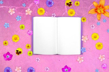 Çiçekler turuncu lily çiçek ve vittrock Mor çiçek merkezi Not Defteri'nde kırmızı cracky beton zemin üzerine.