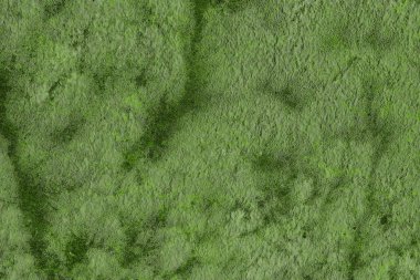 boş yeşil tasarım desen, doku veya arka plan olarak kullanılan yıpranmış kir