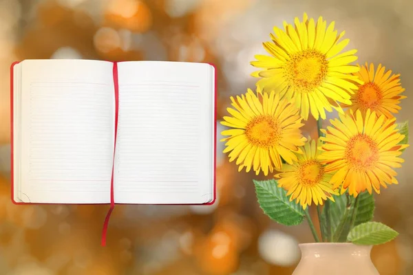 Beautiful live daisy or chamomile bouquet bouquet in porcelain vase on sunny day with opened note book with blank place for your information on tree leaves blurred bokeh background.