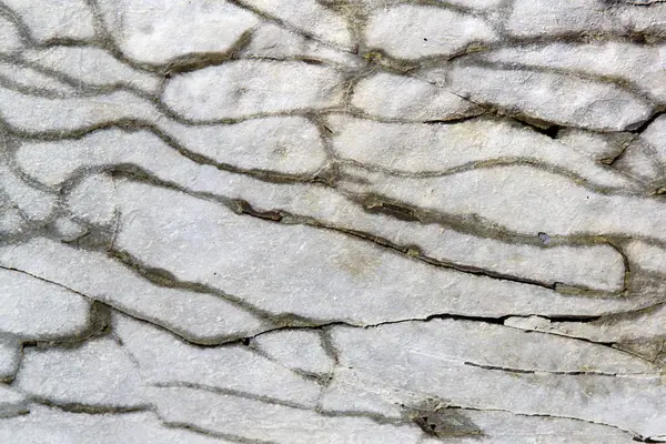 Γκρίζα Πέτρα Επιφανειακή Υφή Ρωγμές — Φωτογραφία Αρχείου