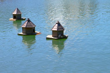 Göl su dalgaları üzerinde ördekler için evleri