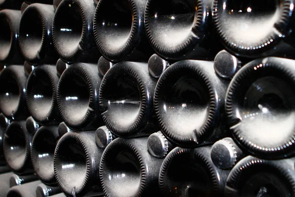 Şampanya şişeleri, soğuk şarap mahzeninde yalan arkadan görüntülemek