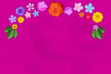 Beautiful decoration flowers frame with empty in center on pink paper background. clipart
