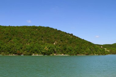 Yaz plaj ve kıyı ile ülke tarafında ormanda ile yeşil tepe