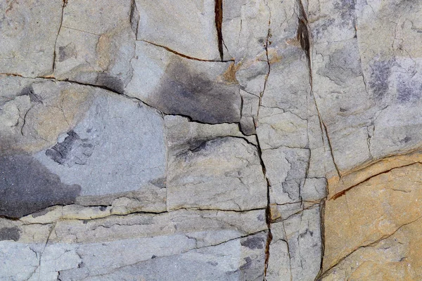 Серый Желтый Камень Текстуры Поверхности Трещинами Морской Скальный Известняк — стоковое фото