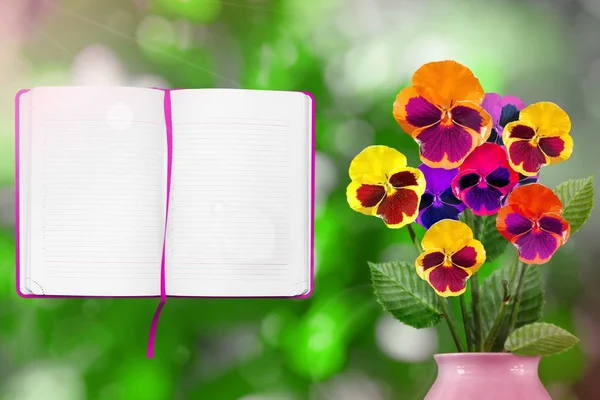Beautiful live vittrock violets bouquet bouquet in porcelain vase on sunny day with opened note book with blank place for your information on tree leaves blurred bokeh background.