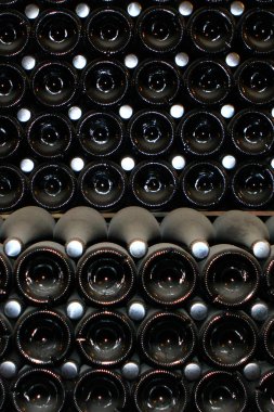 Şampanya şişeleri, soğuk tozlu şarap mahzeninde yalan ön görünümü Kapat