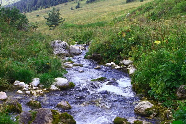 山泉水山河和北高加索的美丽的石溪 山自然风景相片 — 图库照片