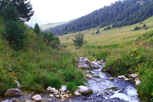 自然泉水山河和北高加索奇妙的洛基小河的照片 — 图库照片