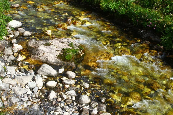 Voorjaar Water Berg Rivier Vrij Stony Creek Noord Kaukasus Berg — Stockfoto