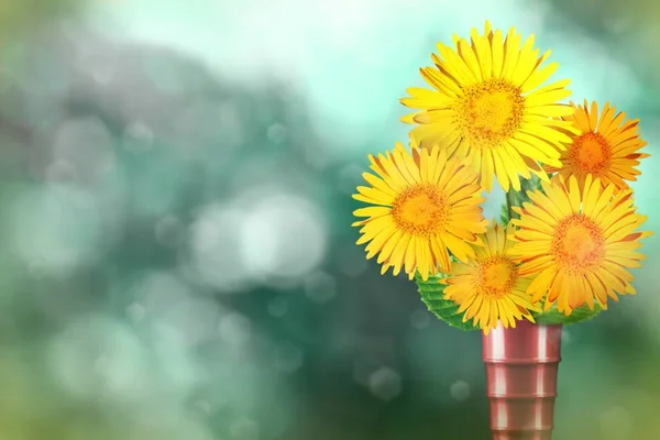 Beautiful live daisy or chamomile bouquet bouquet in modern metal vase on sunny day with empty on natural leaves and sky blurred bokeh background.